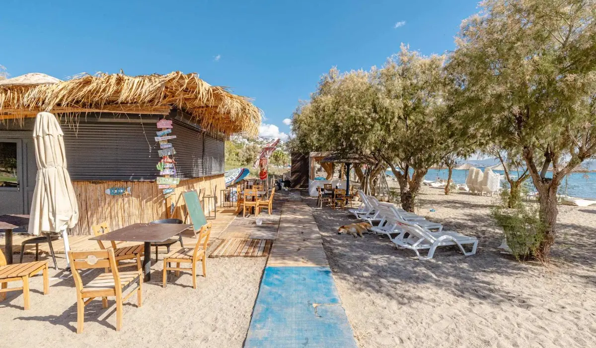 Beach area